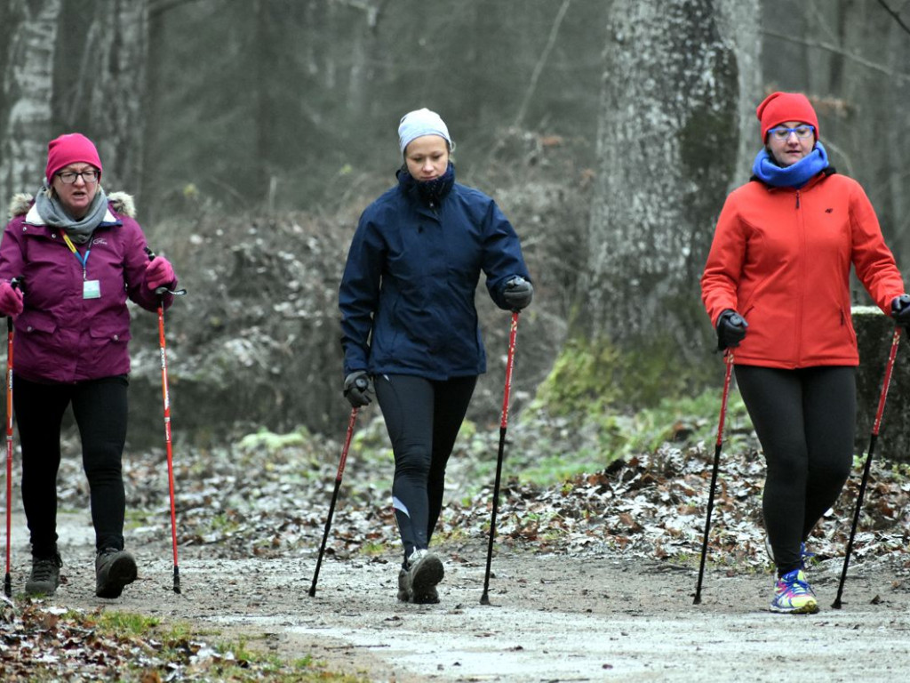 Spacerowali z kijkami po Wilczym Szańcu