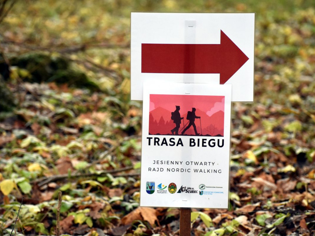 Spacerowali z kijkami po Wilczym Szańcu