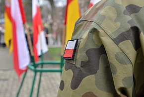 Wojsko zaprasza Polaków. Zacznie się w maju, skończy się w lipcu-220868