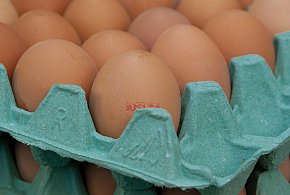 Salmonella na jajach znanej marki. Nie jedz, jeśli masz je w lodówce!-225075