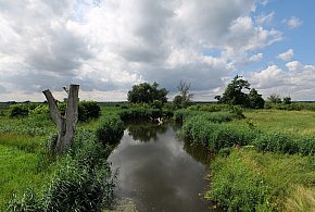 Co dalej z nowym parkiem narodowym? Minister klimatu zdradza plan po wecie-226206
