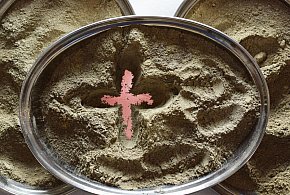 Czy trzeba iść do kościoła w Środę Popielcową? Wyjaśniamy zasady