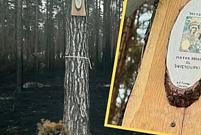 Matka Boska ze Świętej Lipki na drzewie ocalałym w pożarze!
