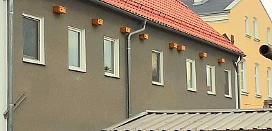 Takie działania lubimy! Budki lęgowe na budynku mieszkalnym