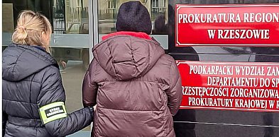 Straż graniczna rozbiła gang handlarzy kradzionymi autami