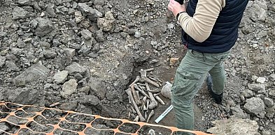 Ludzkie szczątki na budowie obwodnicy!