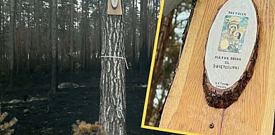 Matka Boska ze Świętej Lipki na drzewie ocalałym w pożarze!