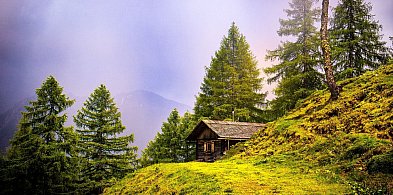 Domek na działkę ROD w Kętrzynie - na co zwrócić uwagę?-226560