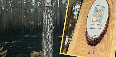 Matka Boska ze Świętej Lipki na drzewie ocalałym w pożarze!