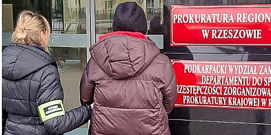 Rzbity gang handlarzy kradzionymi autami