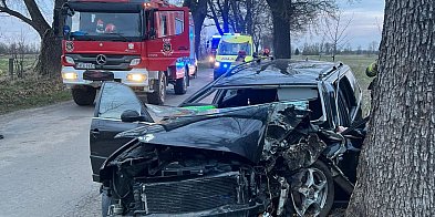 Nie miał prawa jechać. Skończył na drzewie