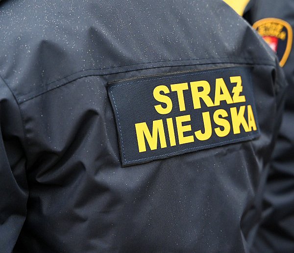 Zapuka strażnik, zapłacisz karę. Ruszyły kontrole w całej Polsce-225961