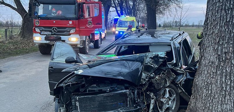 Nie miał prawa jechać. Skończył na drzewie