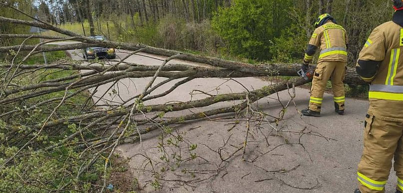 Pracowity dzień strażaków ze Srokowa
