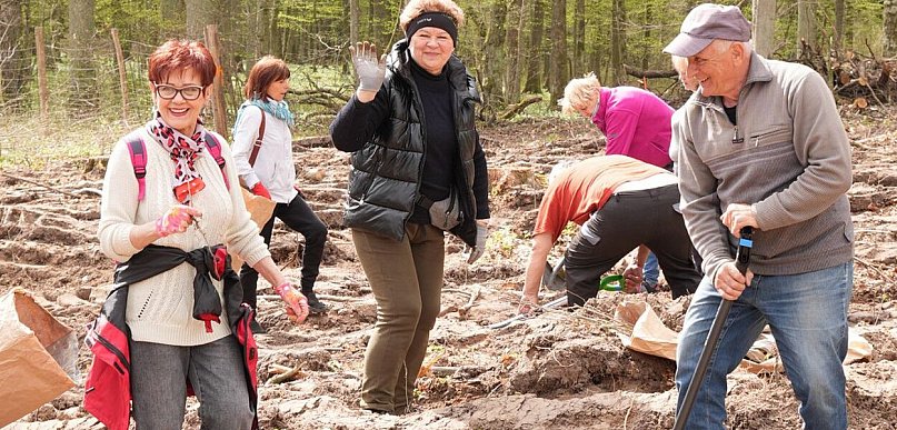 Razem dla natury i pokoju. Siódma edycja sadzenia Lasu Przyjaźni