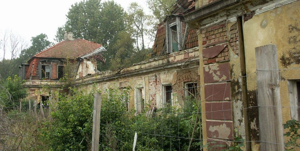 Tak wyglądały ruiny pałacu w Wielewie jeszcze w 2012 roku. Fot. CBK