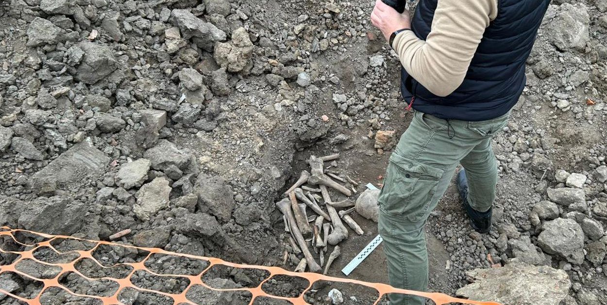 Ludzkie szczątki na budowie obwodnicy!